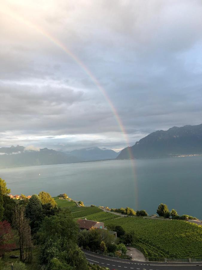 Room With 360° View Overlooking Lake Geneva And Alps Puidoux 외부 사진