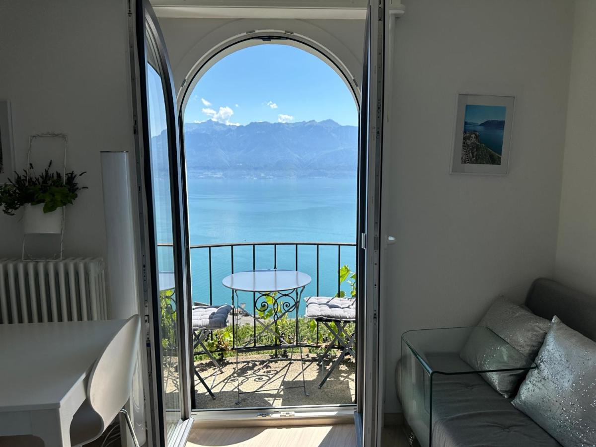 Room With 360° View Overlooking Lake Geneva And Alps Puidoux 외부 사진